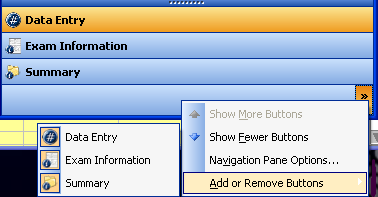 Data Enty Button The Configure Buttons toolbar